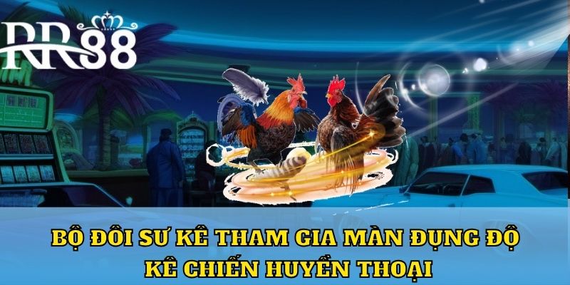 Bộ đôi sư kê tham gia màn đụng độ kê chiến huyền thoại