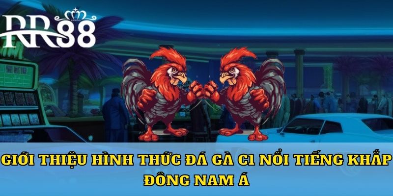 Giới thiệu hình thức đá gà C1 nổi tiếng khắp Đông Nam Á